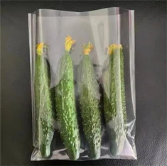 beg plastik anti kabus